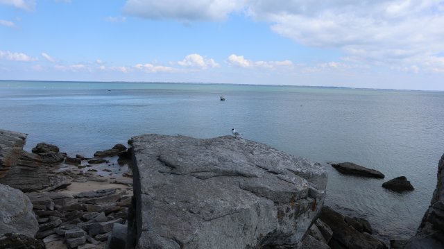 210503 sortie noirmoutier IMG 0022