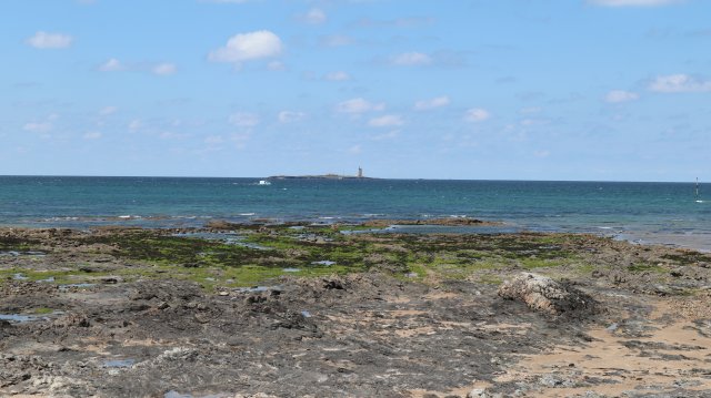 210503 sortie noirmoutier IMG 0029