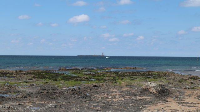 210503 sortie noirmoutier IMG 0031