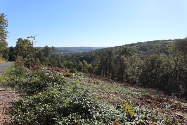 2022.09.22 roadtrip perigord IMG 0539 blog