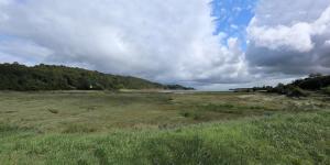 IMG 1057 blog stitch